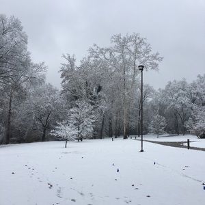 Meet your Posher, Andre